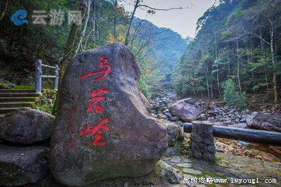 泰顺乌岩岭景区