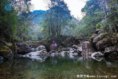 温州乌岩岭