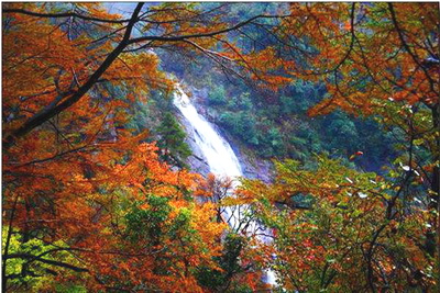 临安东天目山(4A级景区)