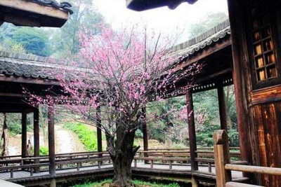 富阳黄公望隐居地