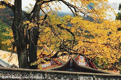 西天目山景区