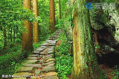 西天目山景区