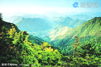 西天目山景区