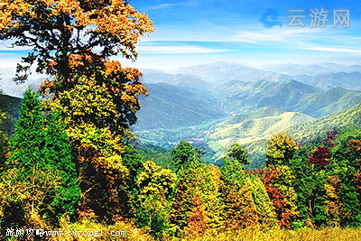 西天目山景区