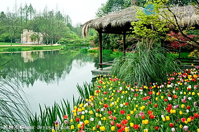 杭州太子湾公园