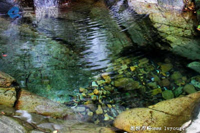 淳安千岛湖森林氧吧