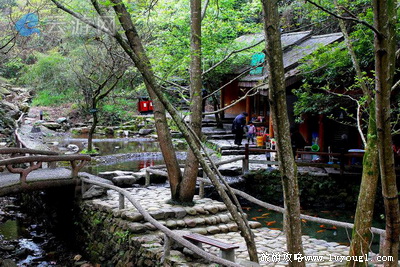 淳安千岛湖森林氧吧