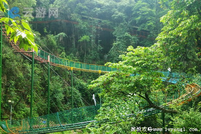 淳安千岛湖森林氧吧