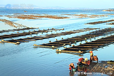 小嶝岛休闲渔村
