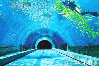 三亚亚龙湾海底世界攻略