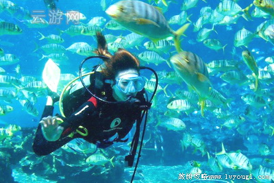 亚龙湾海底世界水肺潜水