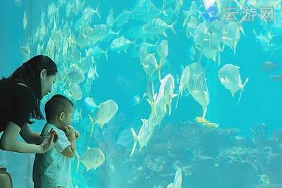 亚龙湾海底世界怎么玩