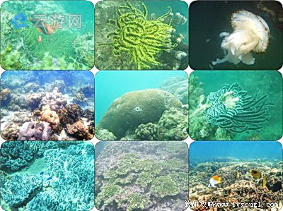 亚龙湾海底世界