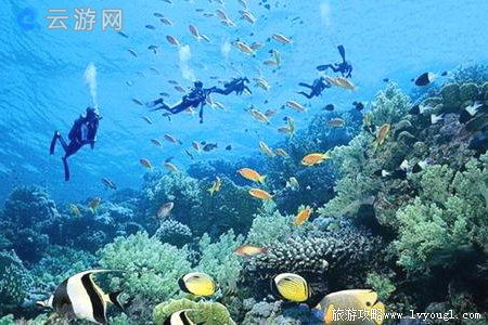 三亚西岛海洋文化旅游区