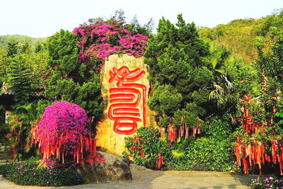 南山长寿谷