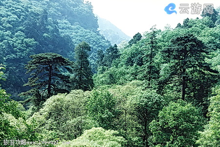 北京上方山森林公园