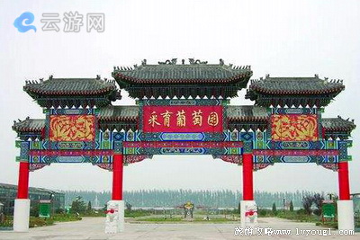 北京大兴采育葡萄大世界