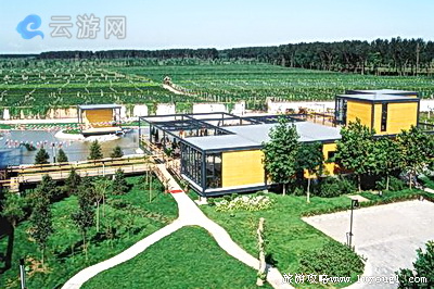 北京大兴采育葡萄大世界