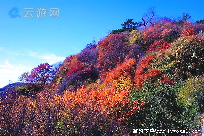 妙峰山