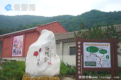妙峰山玫瑰谷