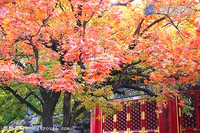 香山公园