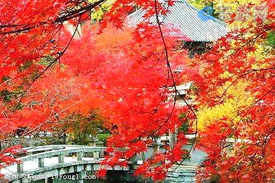 香山公园