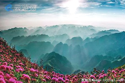 韭菜坪景区