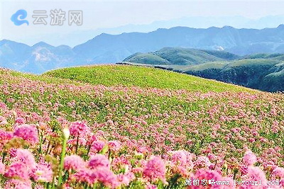 韭菜坪景区