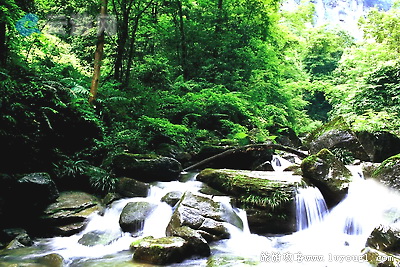金沙冷水河风景区