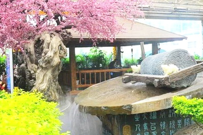 洛阳洛龙梦桃源温泉