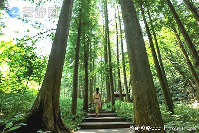三门峡灵宝市燕子山森林公园