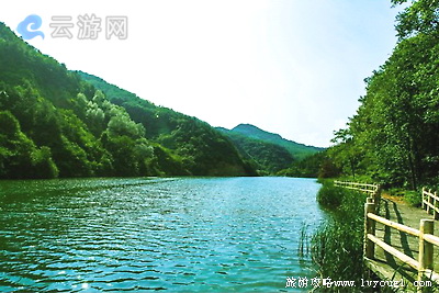 三门峡灵宝市燕子山森林公园