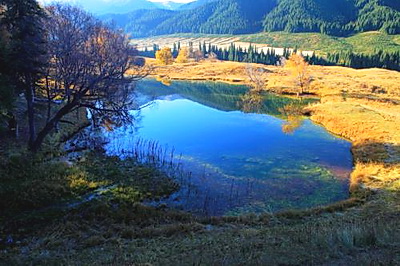 库尔勒巩乃斯森林公园