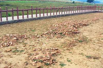 查海遗址博物馆