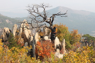 阜新海棠山风景区