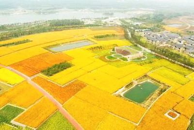 宿迁三台山森林公园