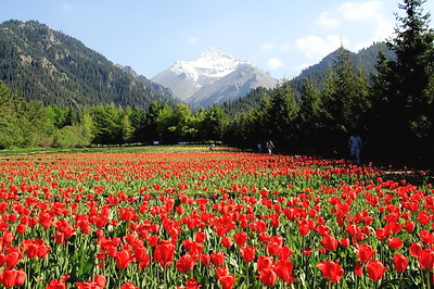 乌苏佛山国家森林公园