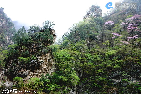 太平森林公园石门景区