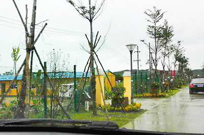 屯昌猪哈哈农场