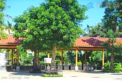 澄迈农垦万嘉果农庄