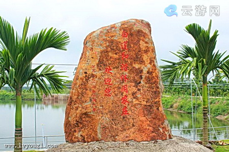 澄迈白莲和谐休闲农庄