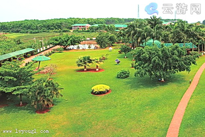 澄迈县侯臣咖啡文化村