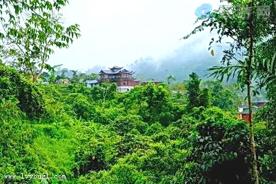 保亭常青茶溪谷
