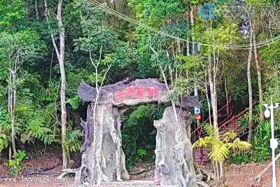 保亭常青茶溪谷