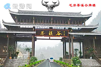 海南茶溪谷