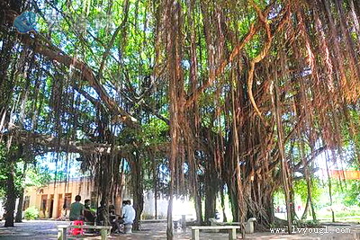 海口琼山区红旗镇泮边村
