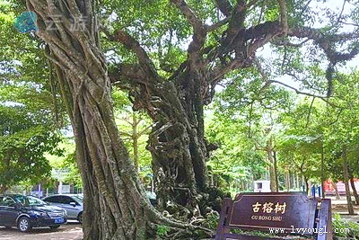 海口秀英区冯塘绿园