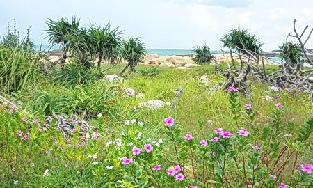文昌木兰湾