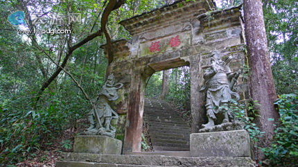 三元格氏栲景区