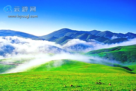 会泽大海草山的云雾
